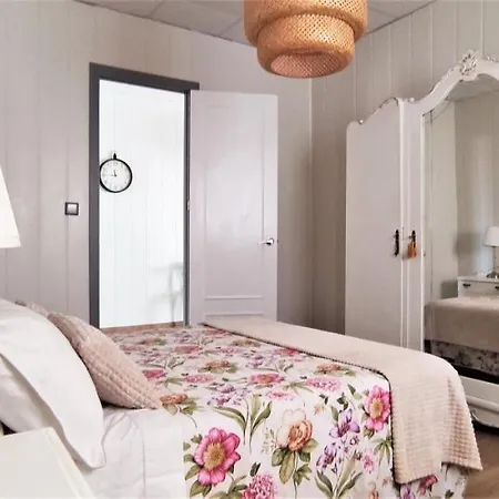 度假居 Casa Tradicional 托雷维耶哈